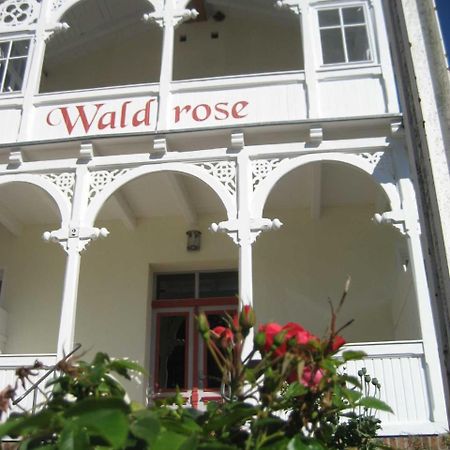 Pension Waldrose Sellin  Dış mekan fotoğraf